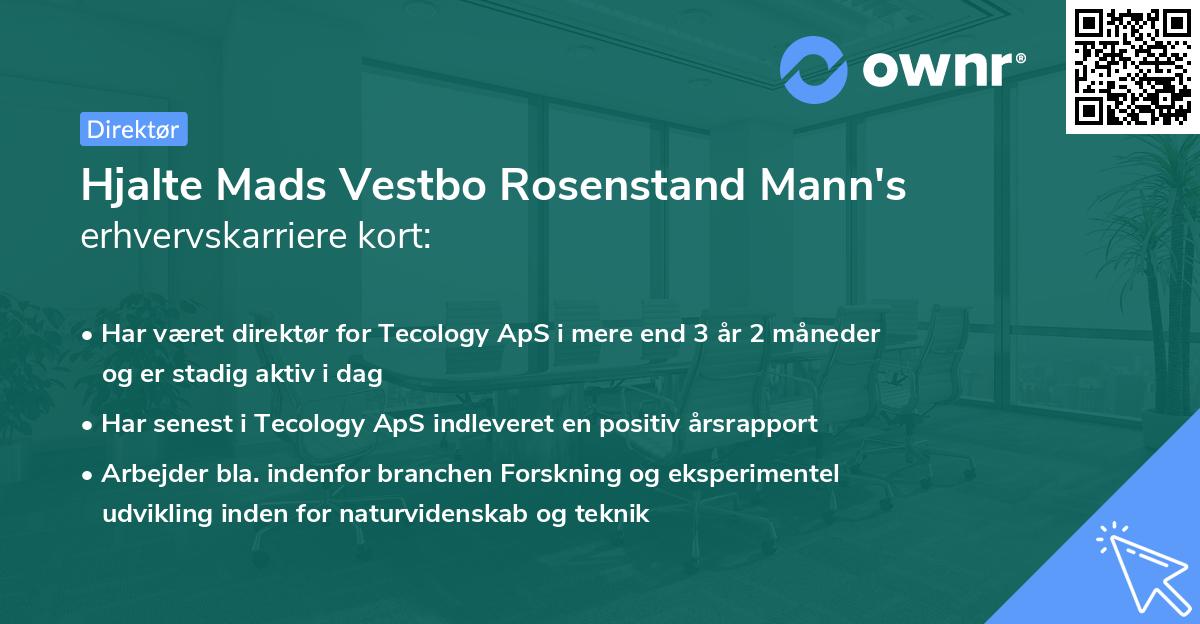 Hjalte Mads Vestbo Rosenstand Mann's erhvervskarriere kort