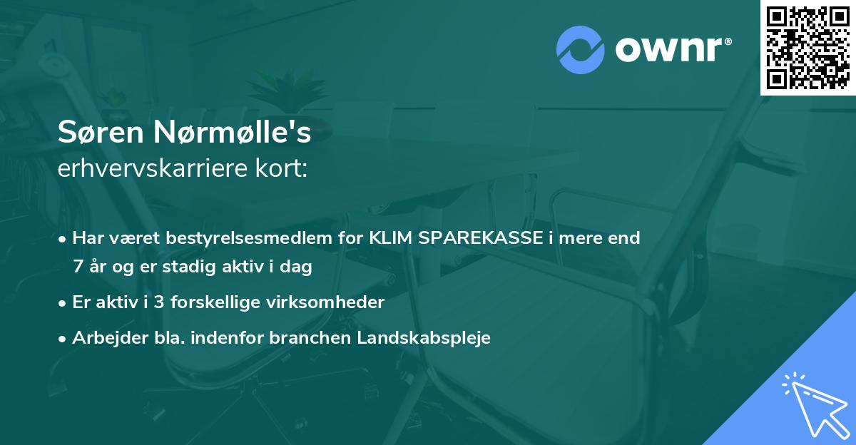 Søren Nørmølle's erhvervskarriere kort