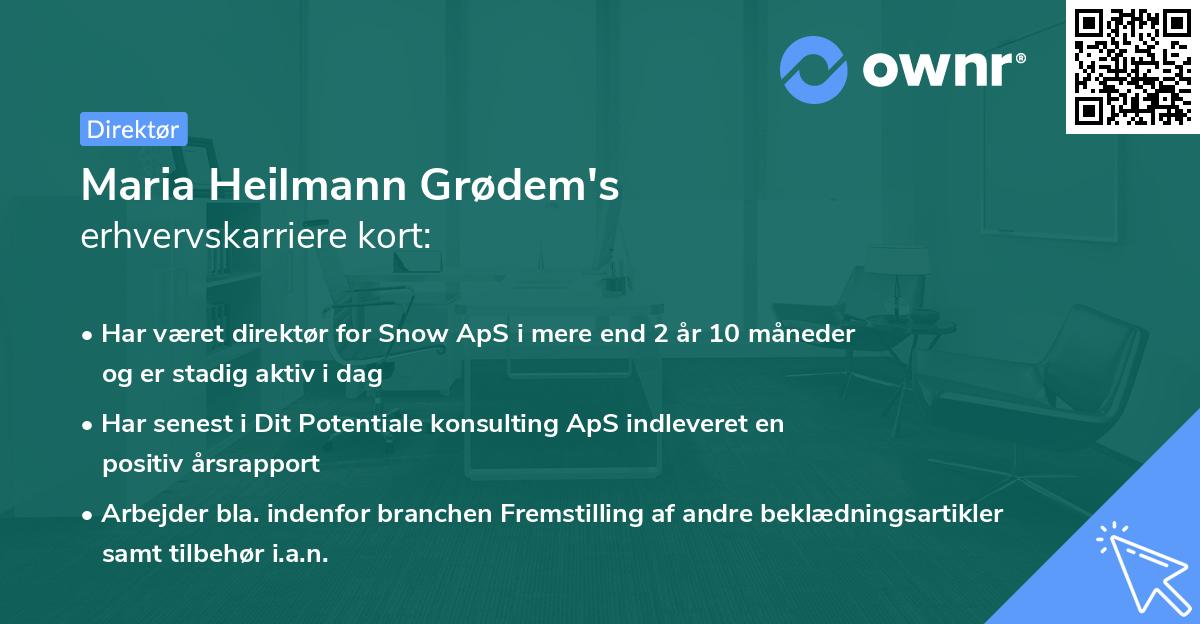 Maria Heilmann Grødem's erhvervskarriere kort
