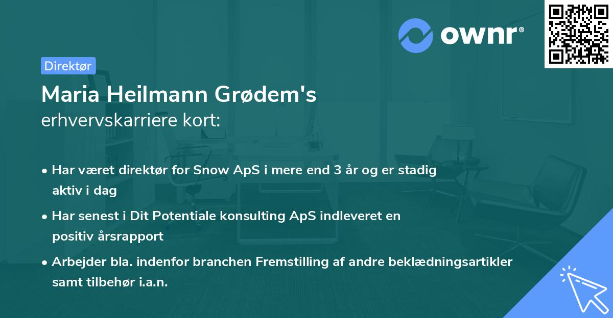 Maria Heilmann Grødem's erhvervskarriere kort