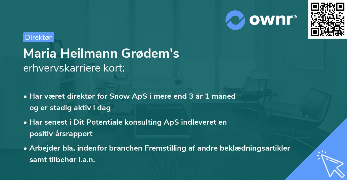 Maria Heilmann Grødem's erhvervskarriere kort