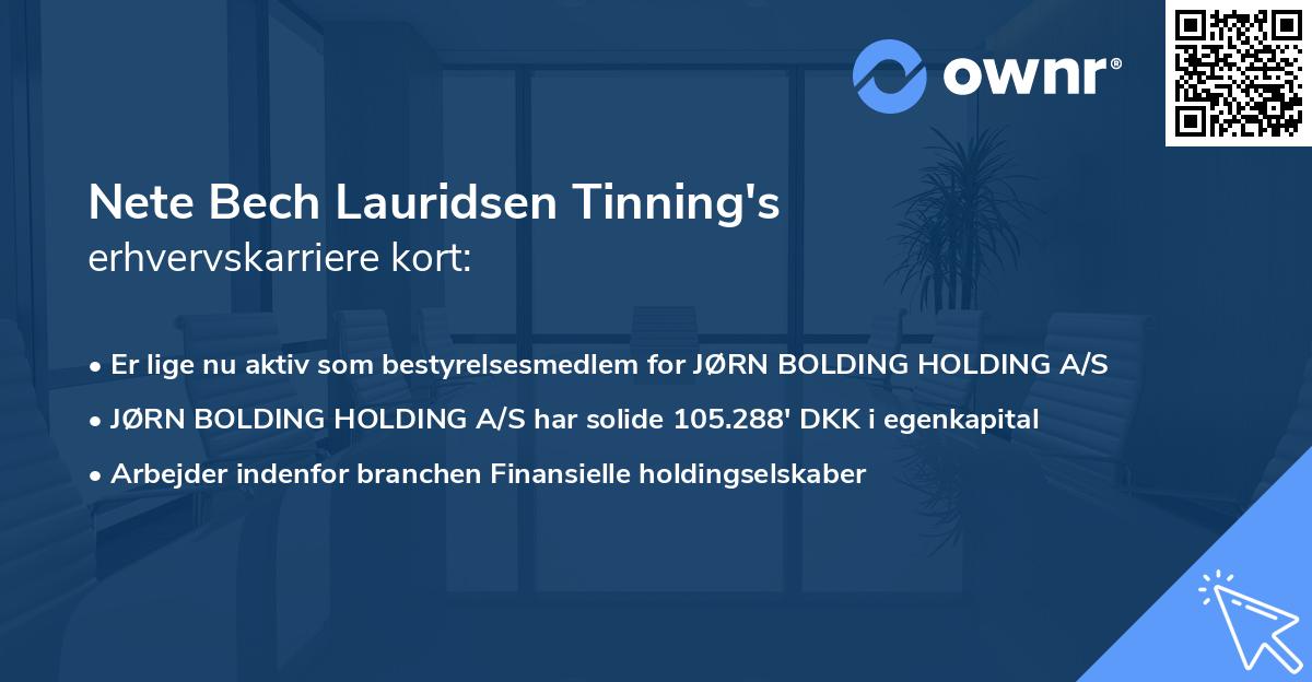 Nete Bech Lauridsen Tinning's erhvervskarriere kort