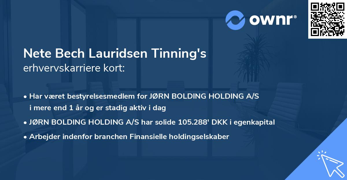 Nete Bech Lauridsen Tinning's erhvervskarriere kort