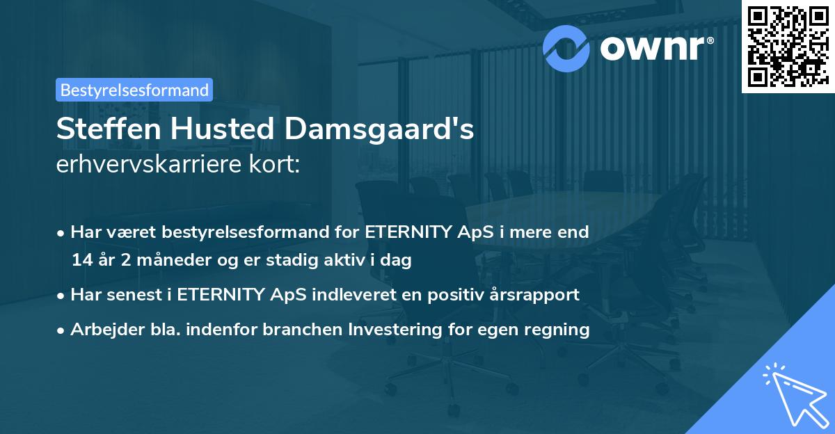 Steffen Husted Damsgaard's erhvervskarriere kort