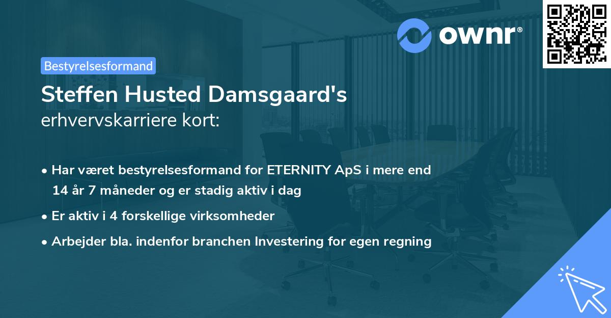Steffen Husted Damsgaard's erhvervskarriere kort