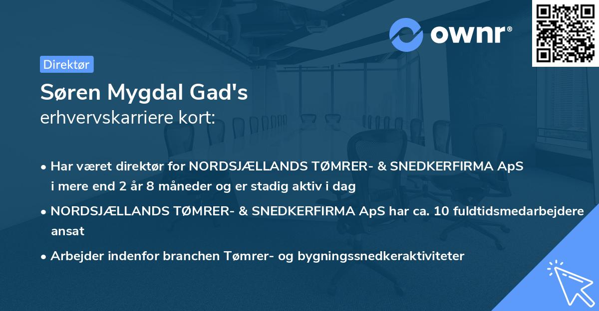 Søren Mygdal Gad's erhvervskarriere kort