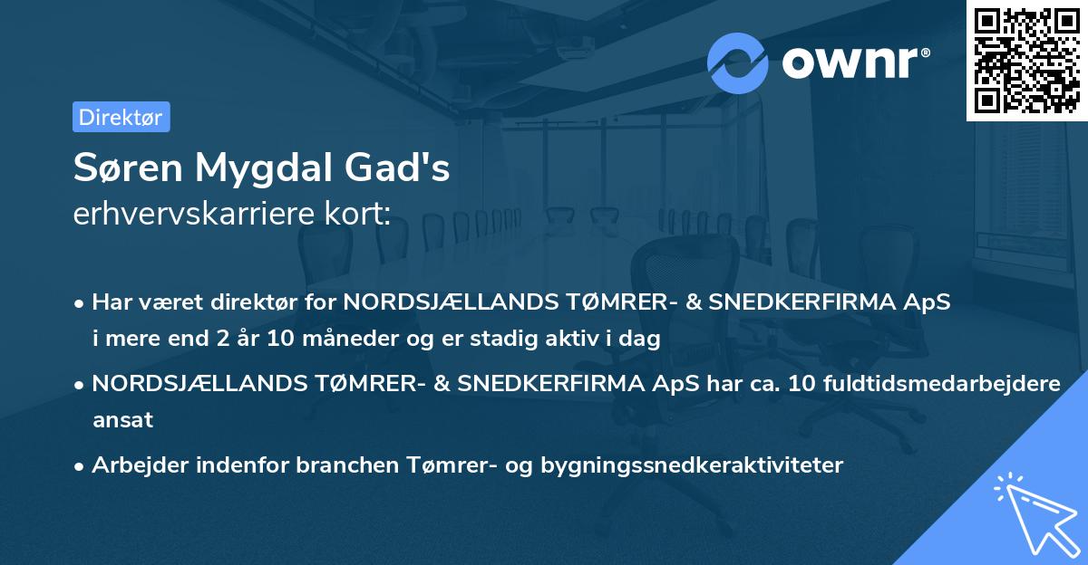 Søren Mygdal Gad's erhvervskarriere kort