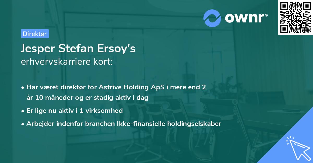 Jesper Stefan Ersoy's erhvervskarriere kort