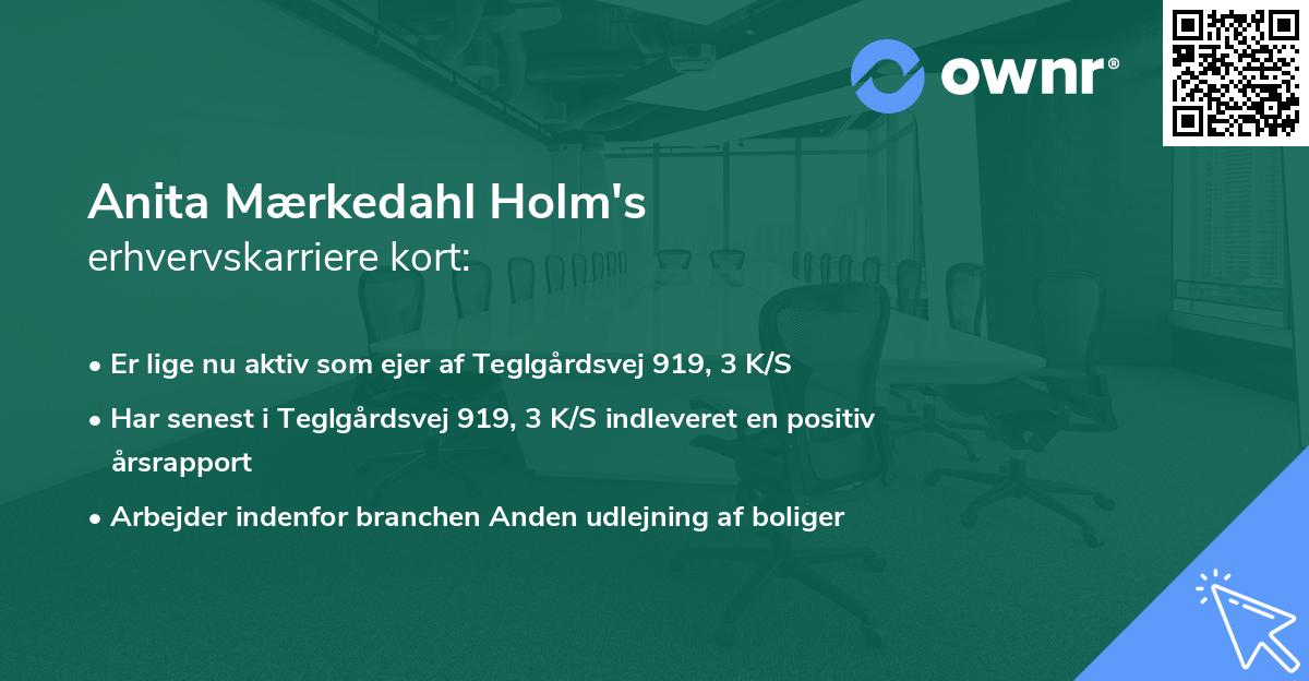 Anita Mærkedahl Holm's erhvervskarriere kort