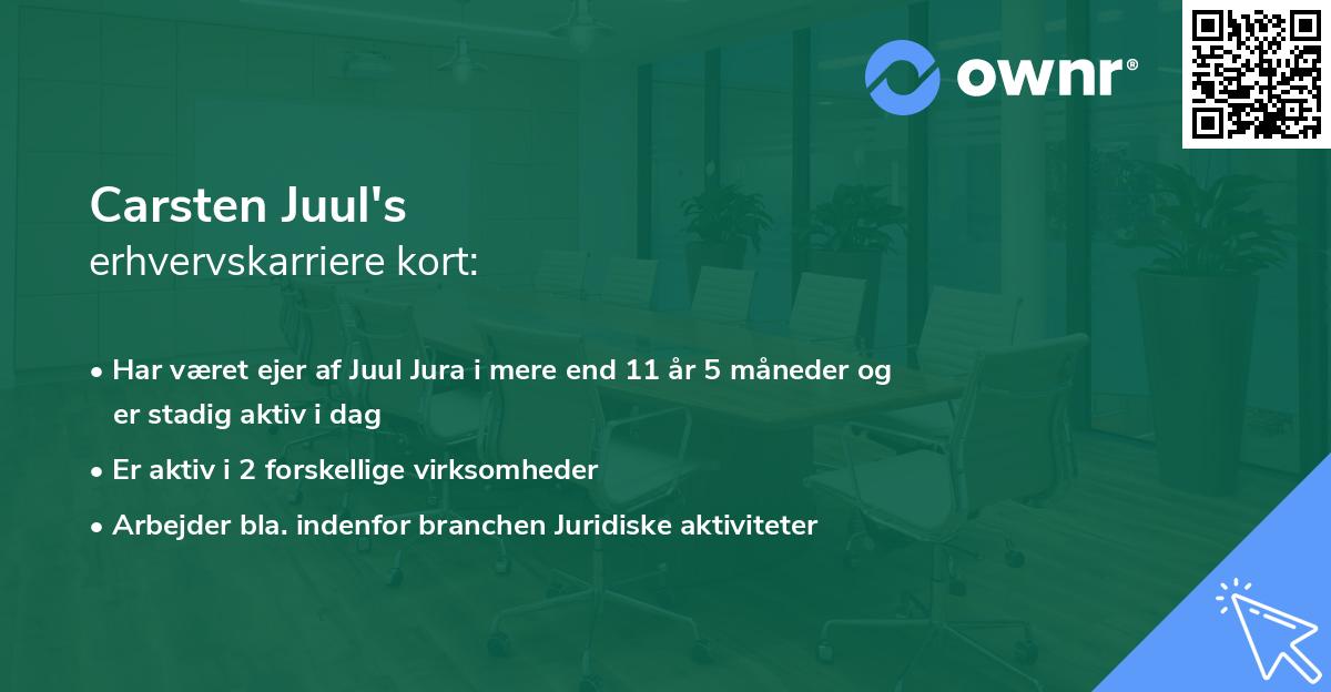 Carsten Juul's erhvervskarriere kort