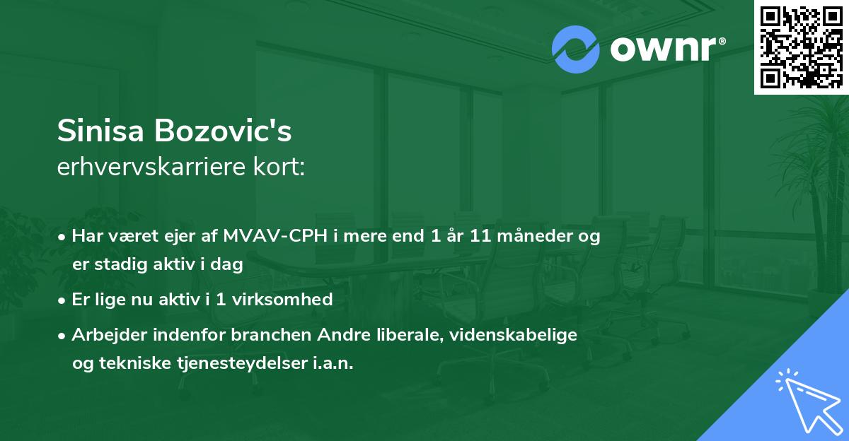 Sinisa Bozovic's erhvervskarriere kort