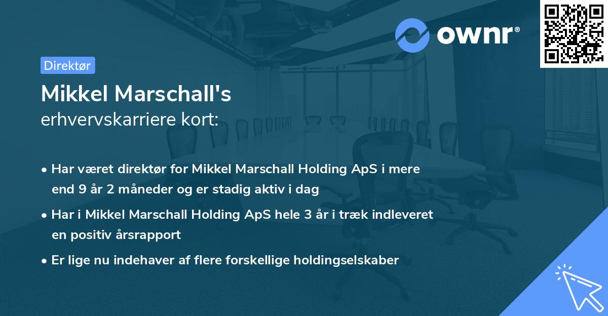 Mikkel Marschall's erhvervskarriere kort