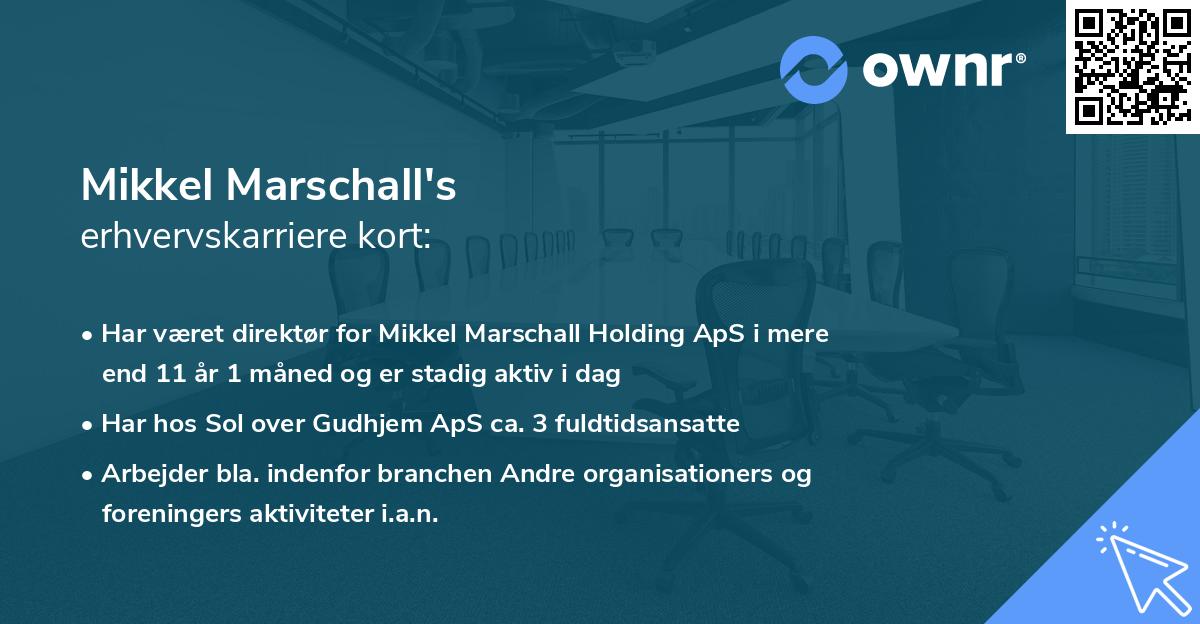 Mikkel Marschall's erhvervskarriere kort