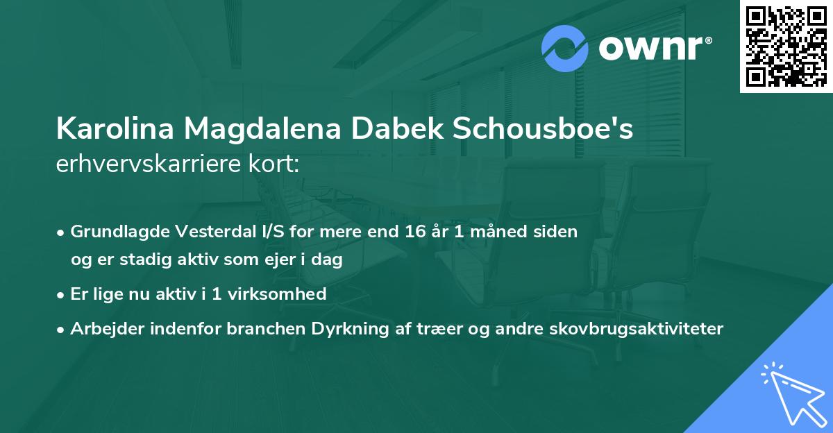 Karolina Magdalena Dabek Schousboe's erhvervskarriere kort