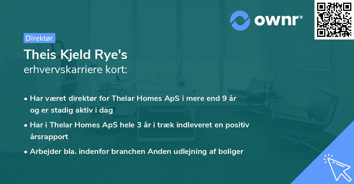 Theis Kjeld Rye's erhvervskarriere kort