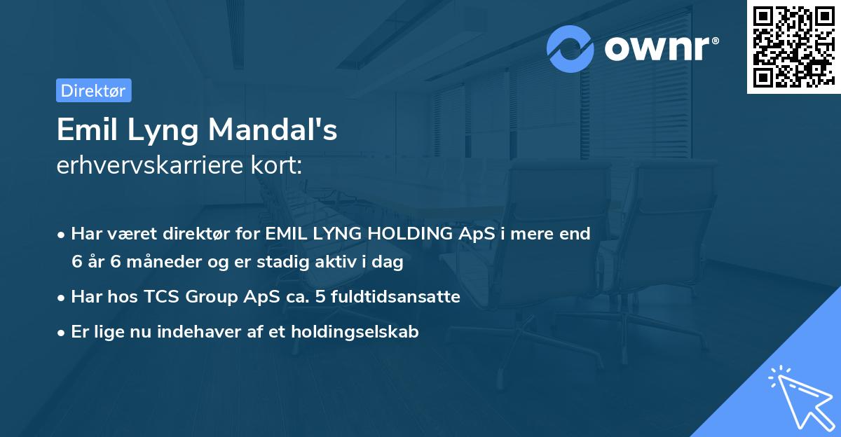 Emil Lyng Mandal's erhvervskarriere kort