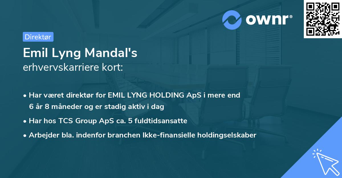 Emil Lyng Mandal's erhvervskarriere kort