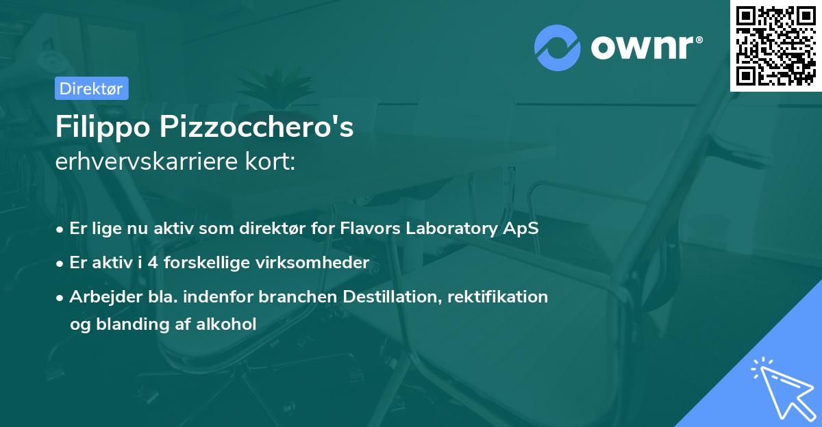 Filippo Pizzocchero's erhvervskarriere kort