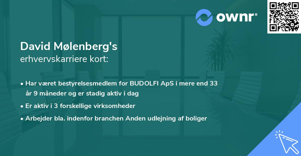 David Mølenberg's erhvervskarriere kort