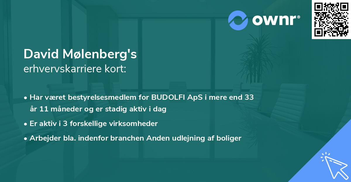 David Mølenberg's erhvervskarriere kort