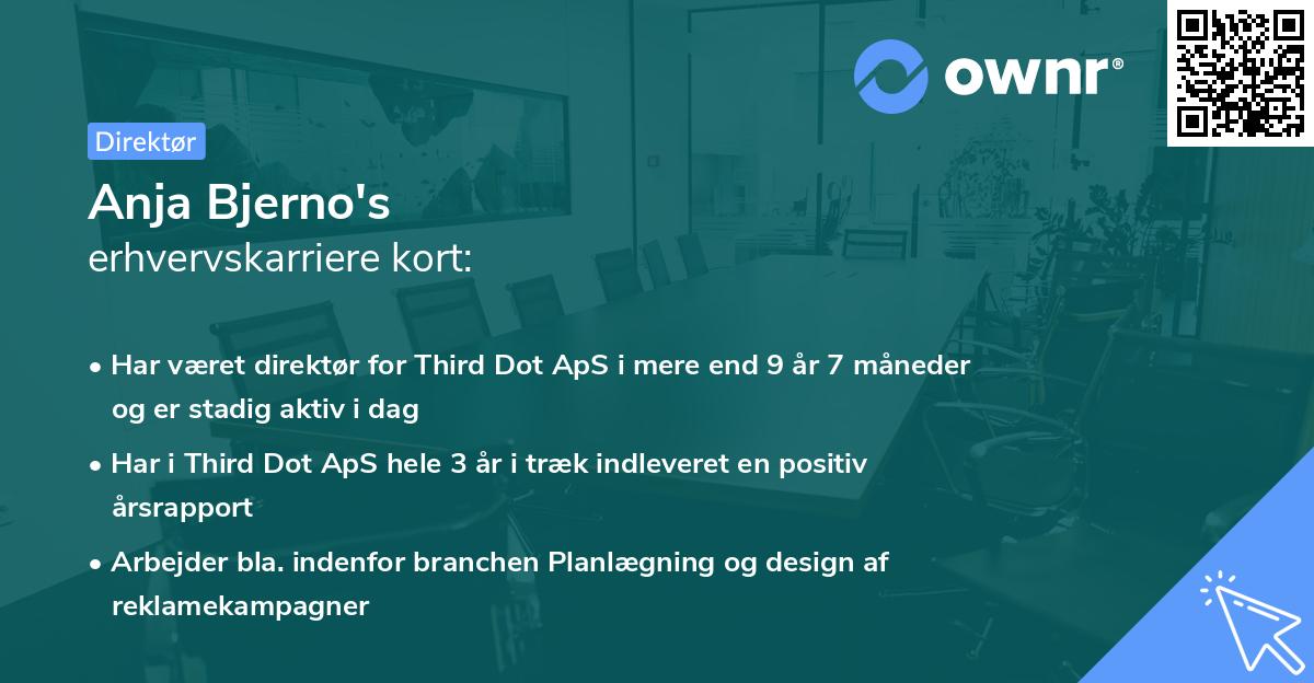 Anja Bjerno's erhvervskarriere kort