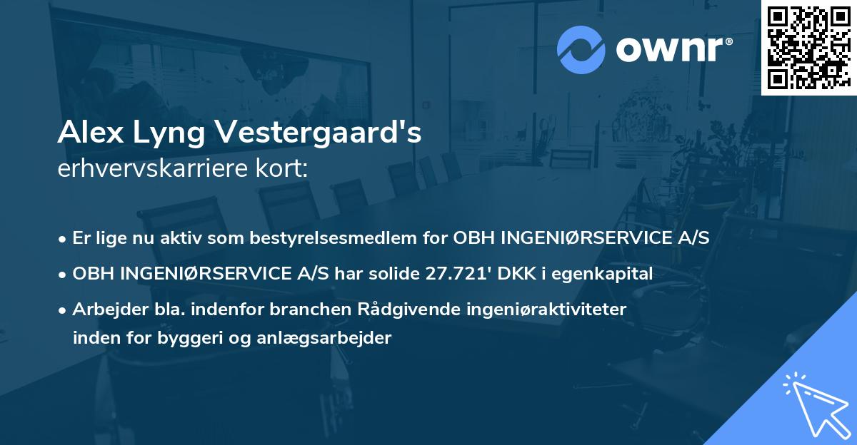 Alex Lyng Vestergaard's erhvervskarriere kort