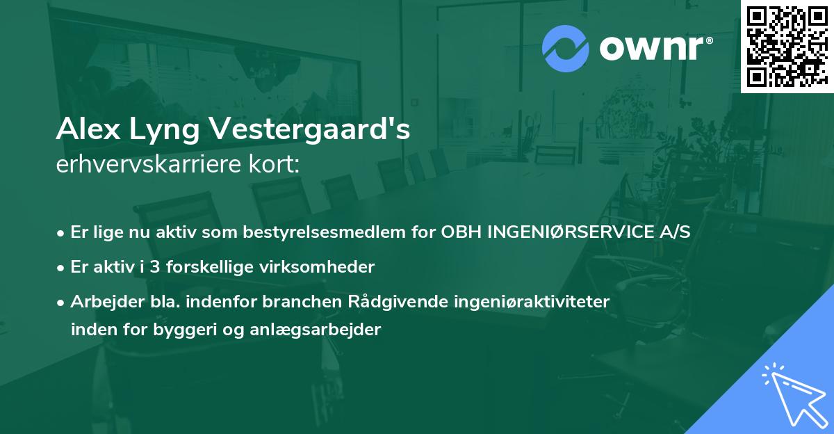 Alex Lyng Vestergaard's erhvervskarriere kort