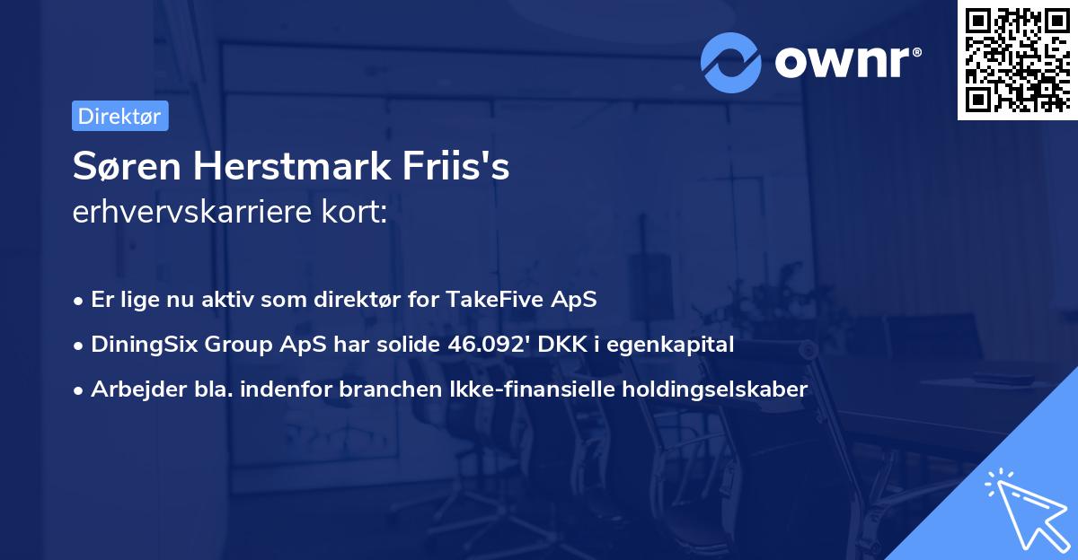 Søren Herstmark Friis's erhvervskarriere kort