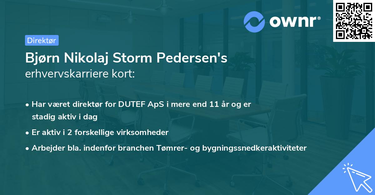 Bjørn Nikolaj Storm Pedersen's erhvervskarriere kort