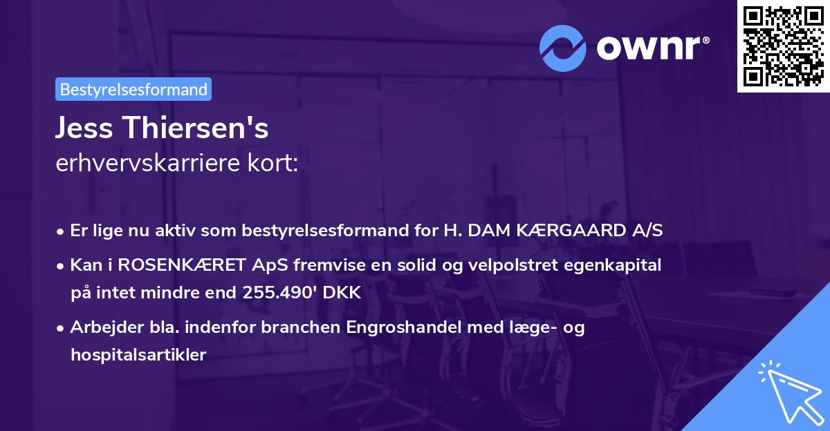 Jess Thiersen's erhvervskarriere kort