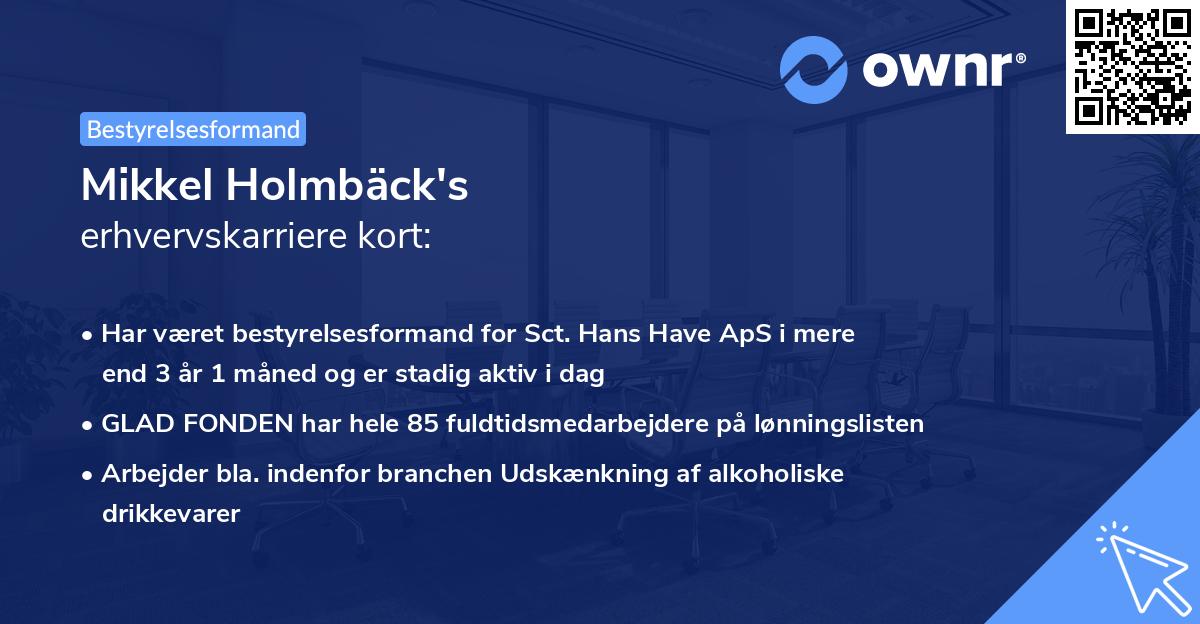 Mikkel Holmbäck's erhvervskarriere kort