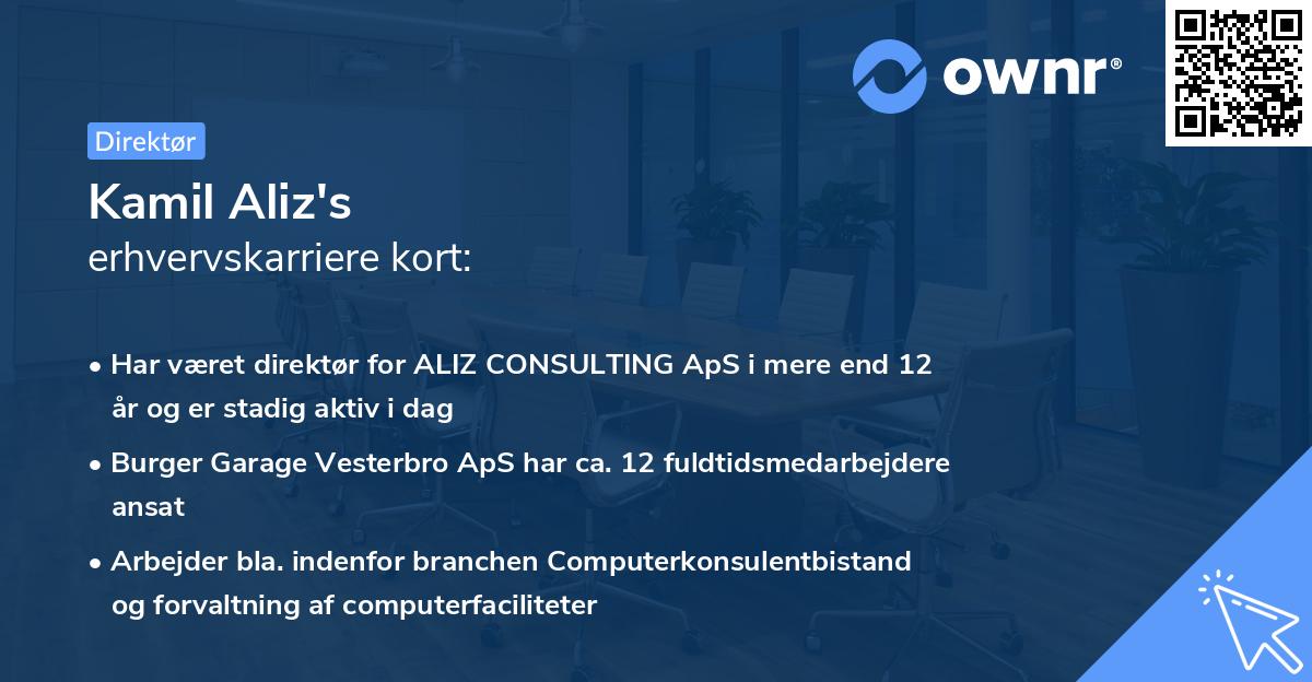 Kamil Aliz's erhvervskarriere kort