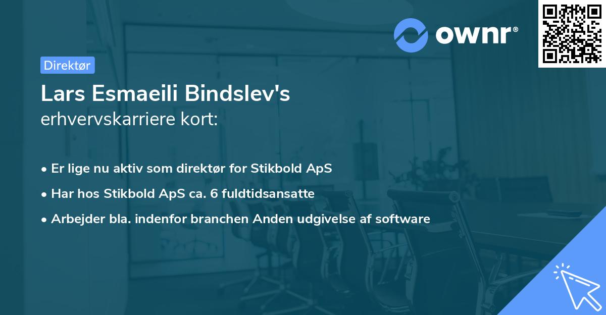 Lars Esmaeili Bindslev's erhvervskarriere kort