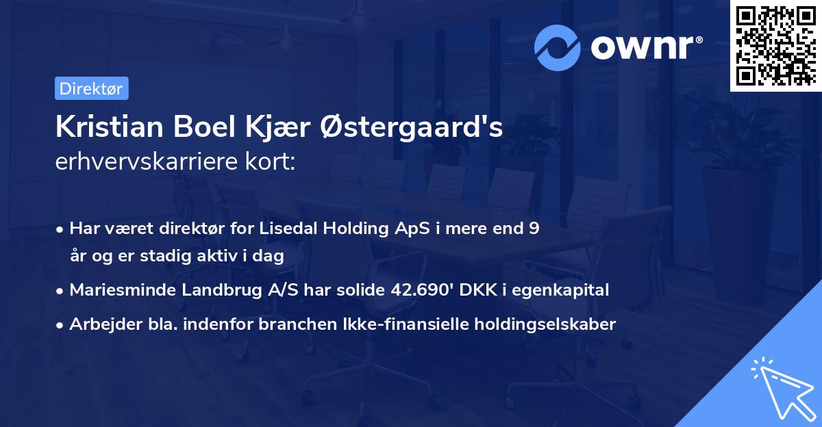 Kristian Boel Kjær Østergaard's erhvervskarriere kort