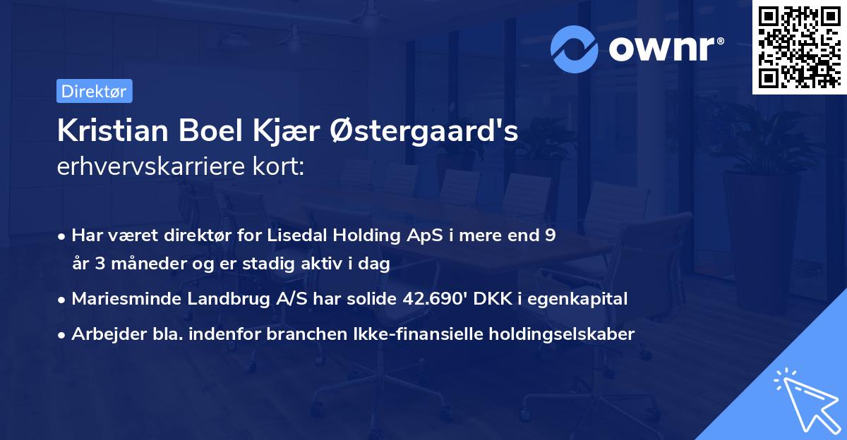 Kristian Boel Kjær Østergaard's erhvervskarriere kort
