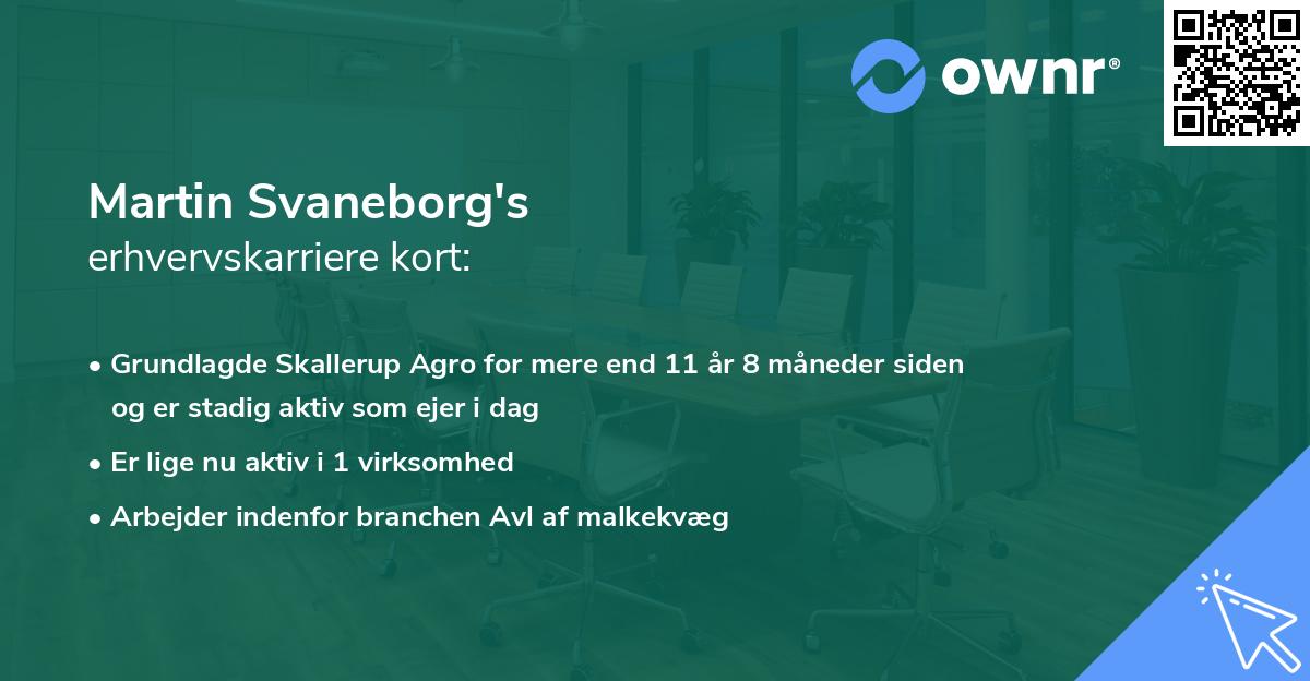 Martin Svaneborg's erhvervskarriere kort