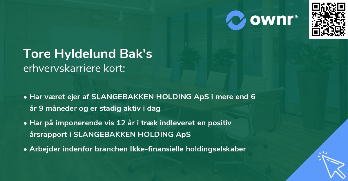 Tore Hyldelund Bak's erhvervskarriere kort