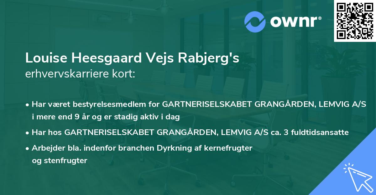 Louise Heesgaard Vejs Rabjerg's erhvervskarriere kort