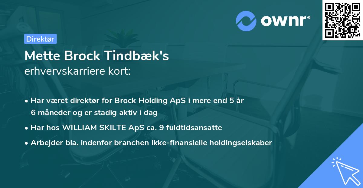 Mette Brock Tindbæk's erhvervskarriere kort