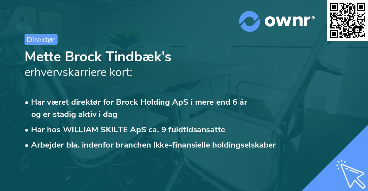 Mette Brock Tindbæk's erhvervskarriere kort