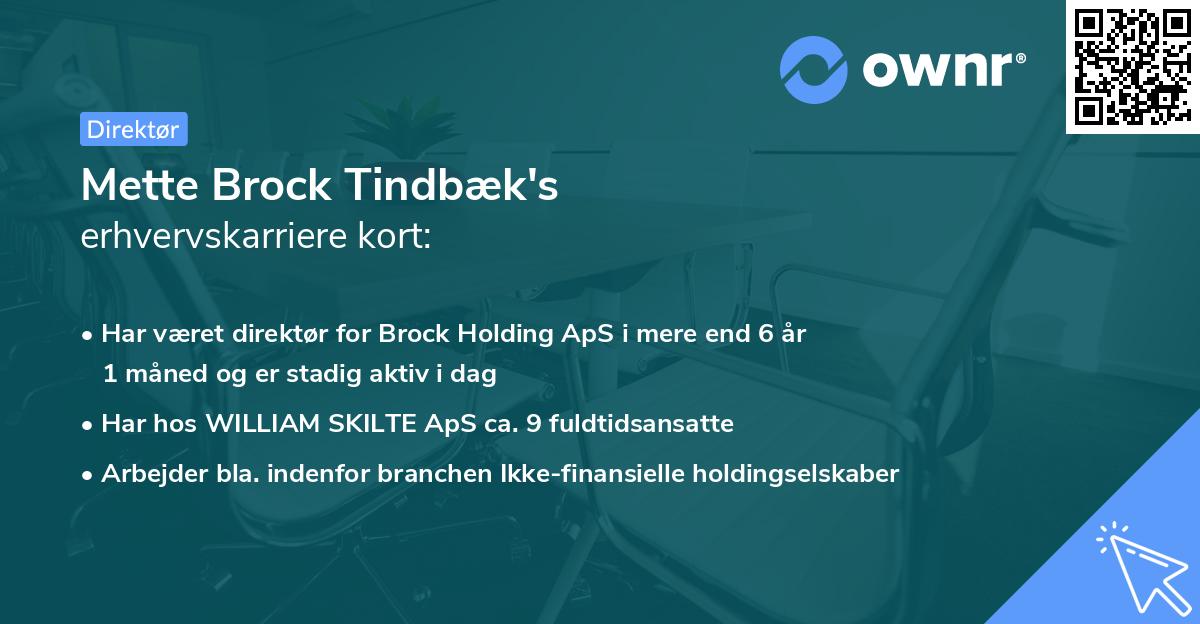 Mette Brock Tindbæk's erhvervskarriere kort