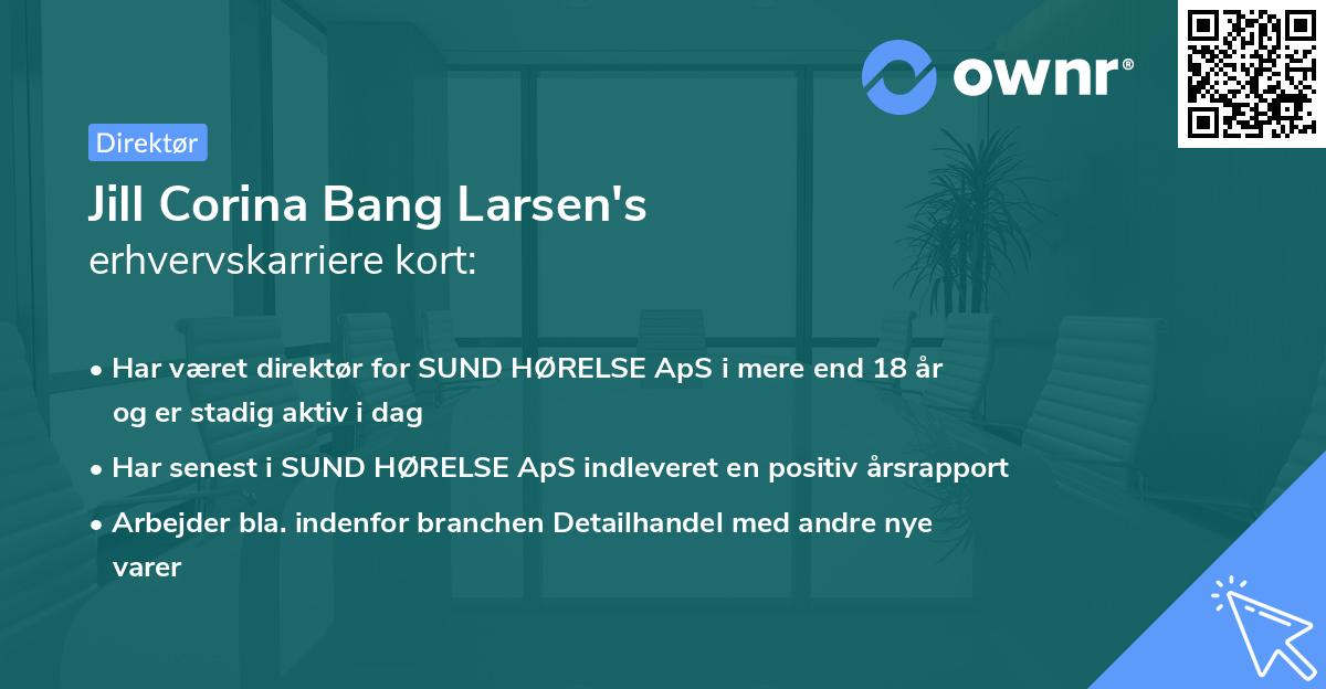 Jill Corina Bang Larsen's erhvervskarriere kort