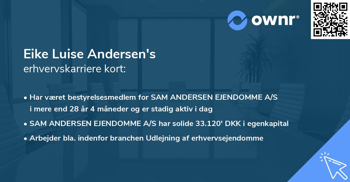 Eike Luise Andersen's erhvervskarriere kort