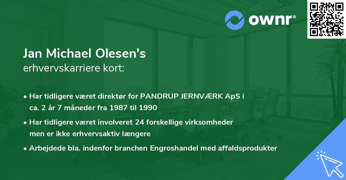 Jan Michael Olesen's erhvervskarriere kort