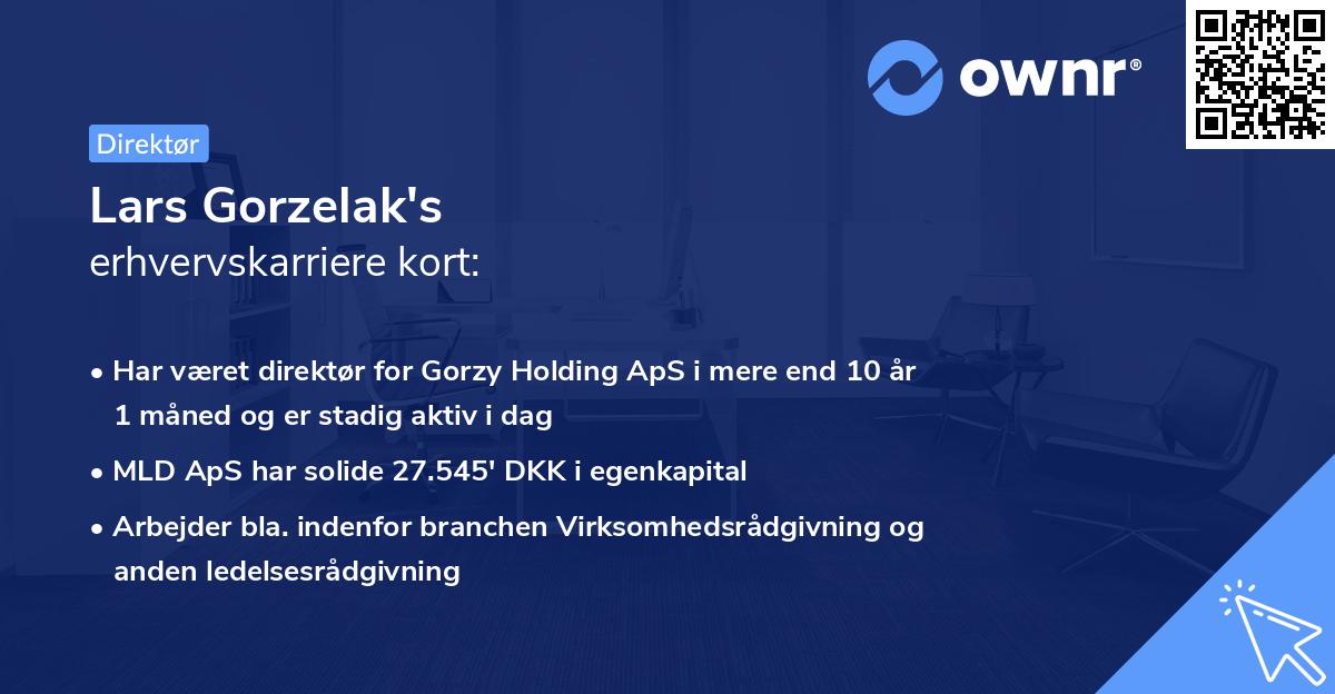 Lars Gorzelak's erhvervskarriere kort