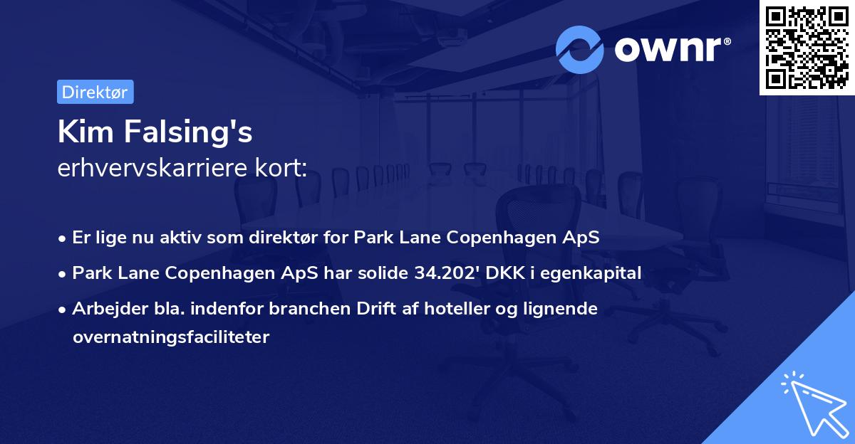 Kim Falsing's erhvervskarriere kort