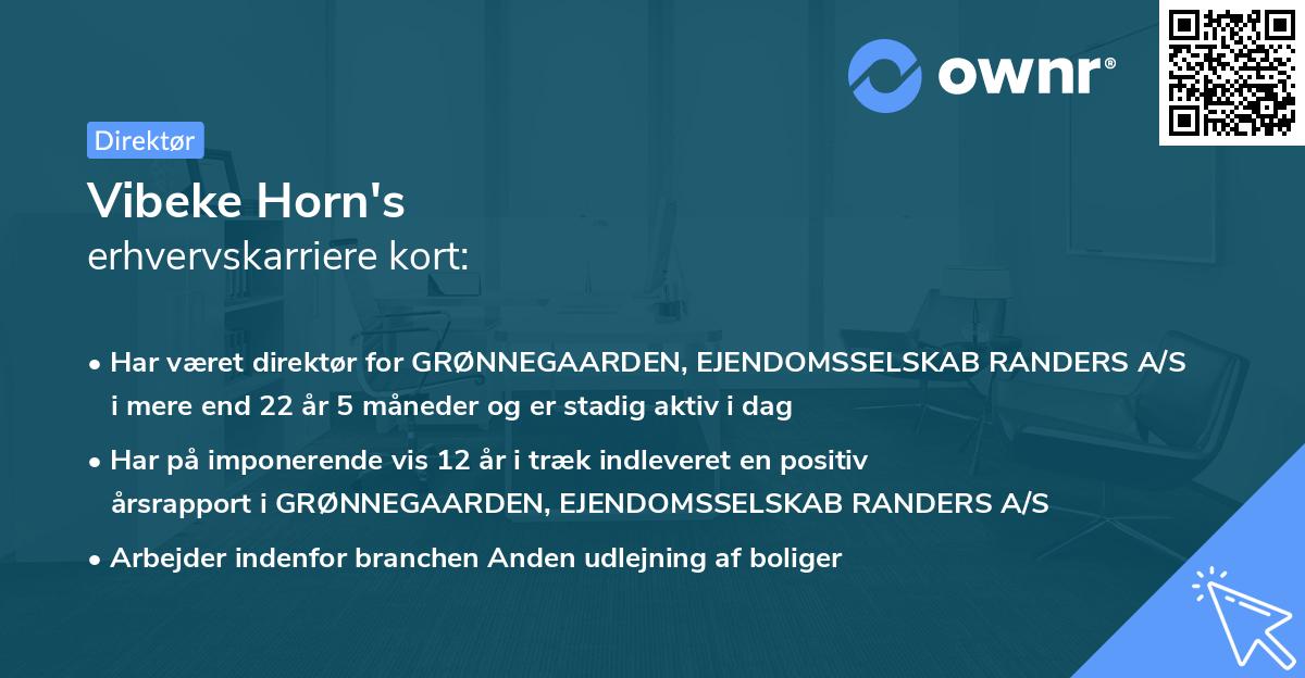 Vibeke Horn's erhvervskarriere kort