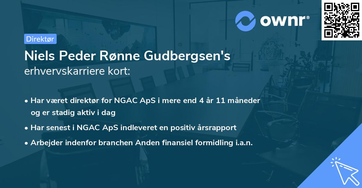 Niels Peder Rønne Gudbergsen's erhvervskarriere kort