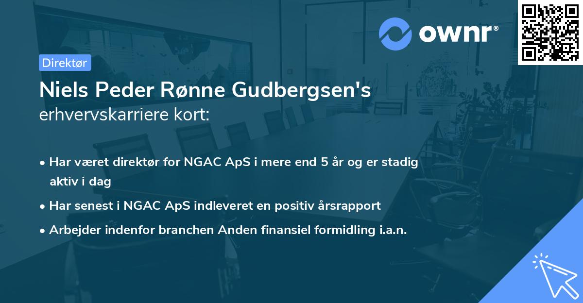 Niels Peder Rønne Gudbergsen's erhvervskarriere kort