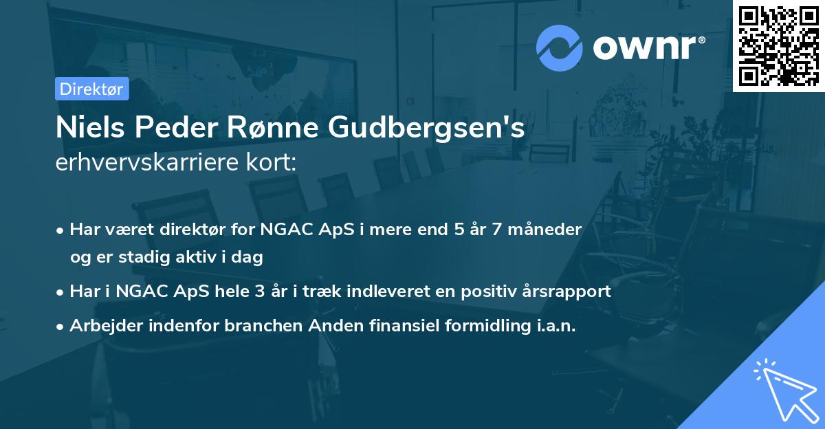 Niels Peder Rønne Gudbergsen's erhvervskarriere kort